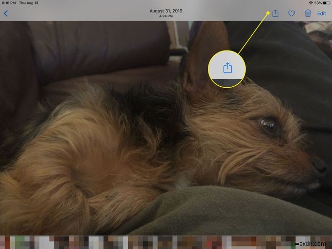 スマホ・PCで写真を印刷する方法|Android・iPhone・Windows・Mac対応ガイド