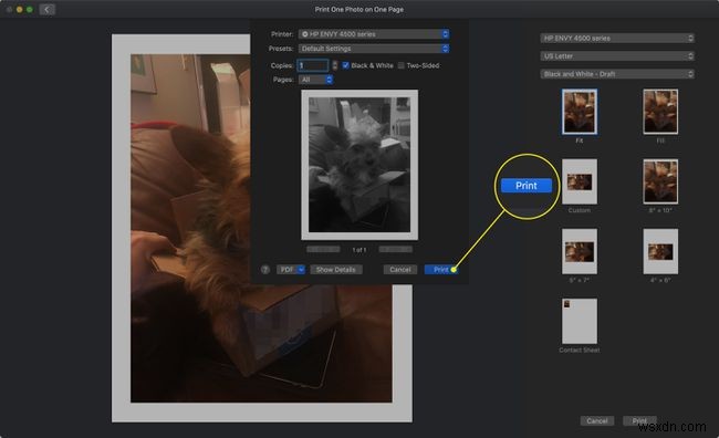 スマホ・PCで写真を印刷する方法|Android・iPhone・Windows・Mac対応ガイド
