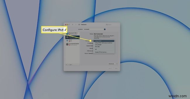 Macをルーターに接続する方法|有線LAN接続の手順とトラブル対処法