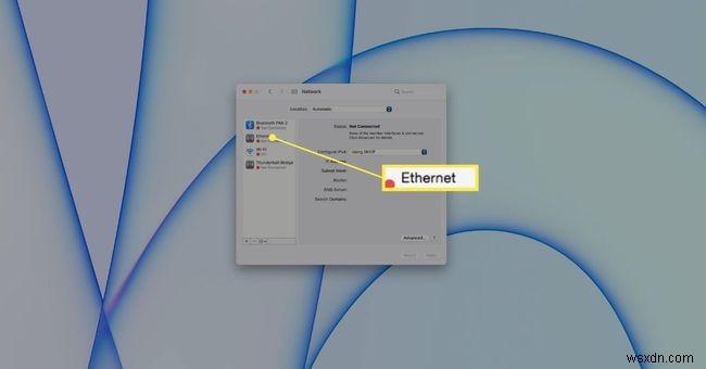 Macをルーターに接続する方法|有線LAN接続の手順とトラブル対処法