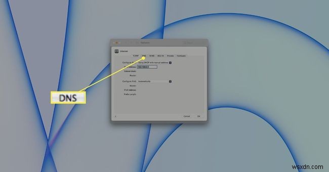 Macをルーターに接続する方法|有線LAN接続の手順とトラブル対処法