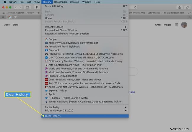Safariの閲覧履歴を管理・削除する方法(Mac・iPhone対応)