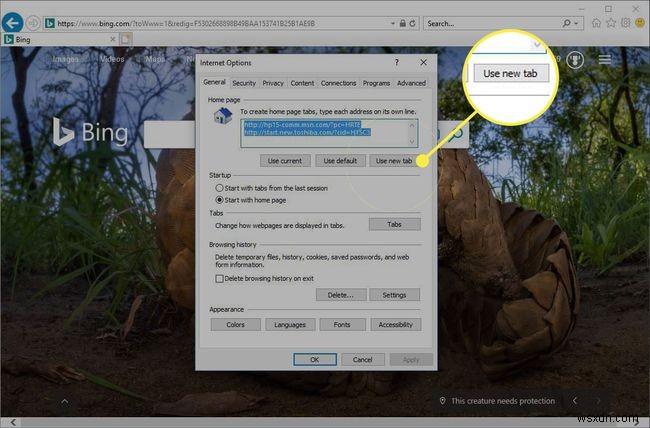 Internet Explorerでホームページを変更・設定する方法【IE 11/10/9/8対応】