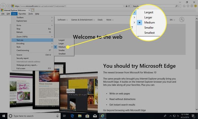 Internet Explorerでテキストサイズを変更する方法｜ショートカットと設定をわかりやすく解説