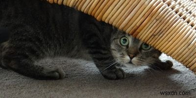 Windows 10で隠しファイル・隠しフォルダーを表示する方法【3つの手順を解説】