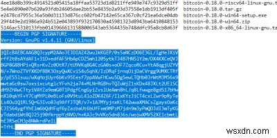 デジタル署名でWindowsソフトウェアの安全性を確認する方法【Gpg4win活用ガイド】