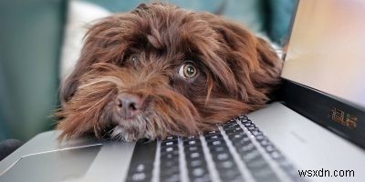 Windowsでキーロガーを検出する方法|タスクマネージャーからキーストローク暗号化まで徹底解説
