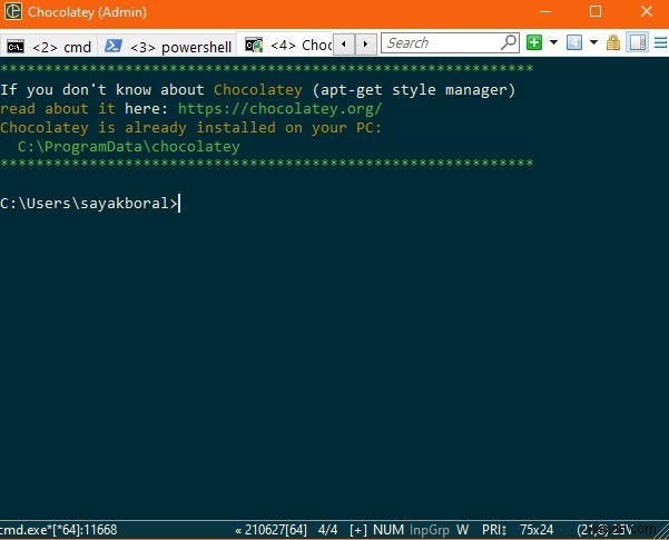 Windowsで使えるおすすめターミナルエミュレーター10選