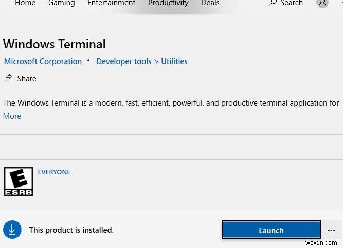 Windows Terminalのインストール方法3選!Microsoft Store・GitHub・Chocolateyでの導入手順とテーマ設定