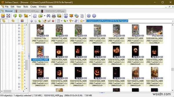 Windows 10で使えるおすすめフォトビューアー7選【無料で高機能】