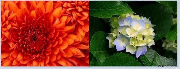 Photoshop不要!Windowsのペイントで2つの画像・写真を組み合わせる方法