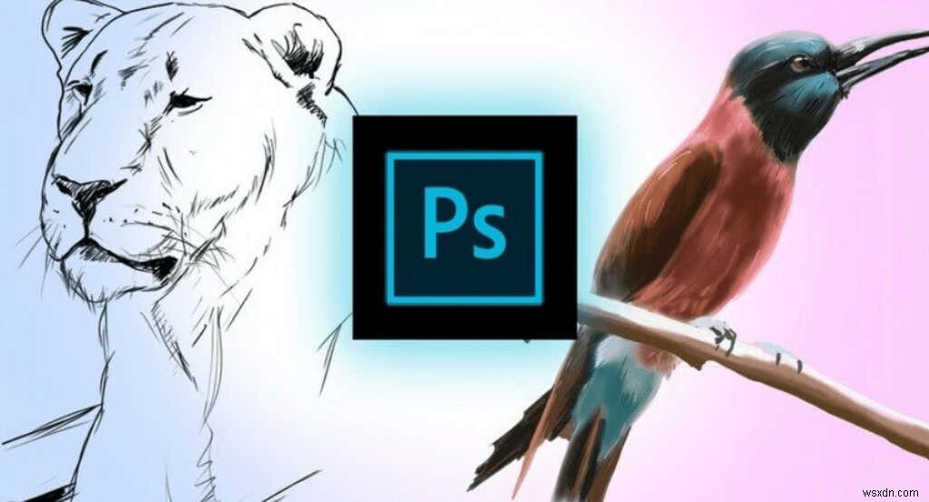 Windowsで使えるおすすめ描画アプリ7選【無料・有料】