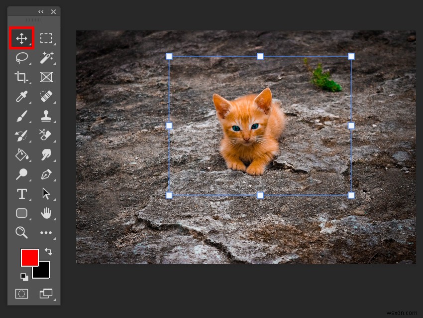 Photoshopで境界線を追加する方法【画像・シェイプ・テキスト別に解説】