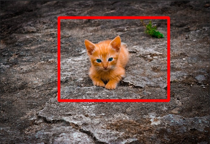 Photoshopで境界線を追加する方法【画像・シェイプ・テキスト別に解説】