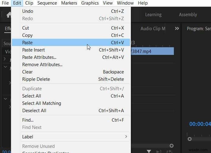Adobe Premiere Proで動画を反転させる方法｜クールなリバース効果の作り方