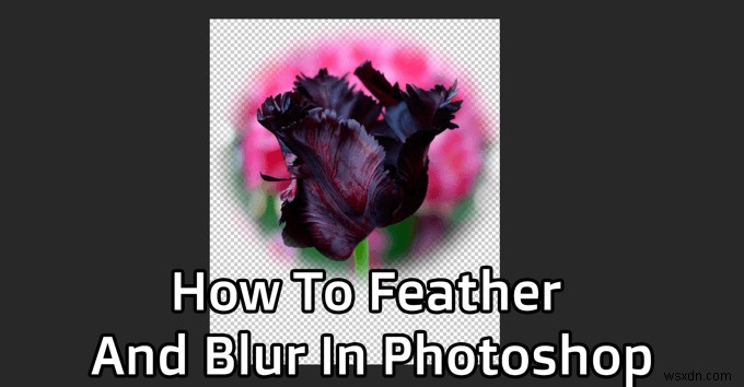 Photoshopでフェザーとぼかしを使う方法｜自然な画像加工のための基本テクニック