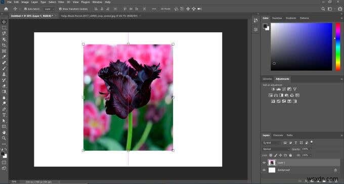 Photoshopでフェザーとぼかしを使う方法｜自然な画像加工のための基本テクニック