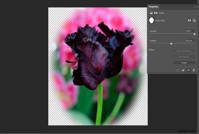 Photoshopでフェザーとぼかしを使う方法｜自然な画像加工のための基本テクニック