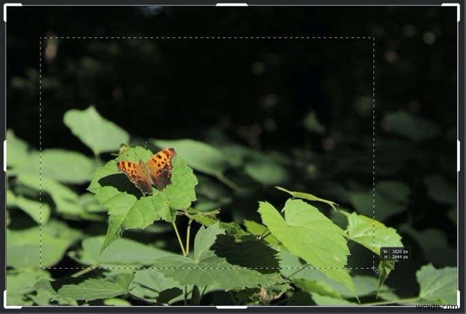 【初心者向け】Photoshopで画像をトリミングする方法|基本操作から応用テクニックまで