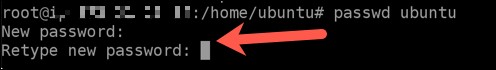 Linuxでパスワードを変更する方法【初心者向け】ターミナルで安全に管理する手順を解説
