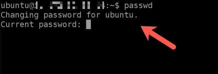 Linuxでパスワードを変更する方法【初心者向け】ターミナルで安全に管理する手順を解説