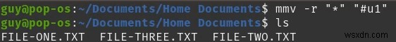 Linuxでファイルやフォルダの名前を変更する方法【GUI・コマンド完全ガイド】