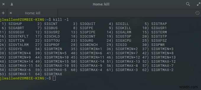 Linuxでフリーズしたプログラムを強制終了する5つの方法|killコマンドからxkillまで徹底解説