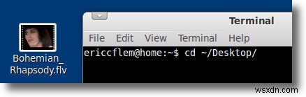 FFmpegを使ってFLVファイルから音声を劣化なしで簡単に抽出する方法