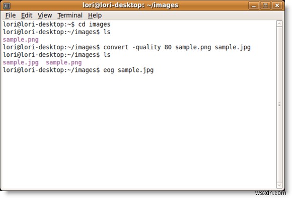 Ubuntuのコマンドラインで画像形式を変換する方法 ― ImageMagickの使い方