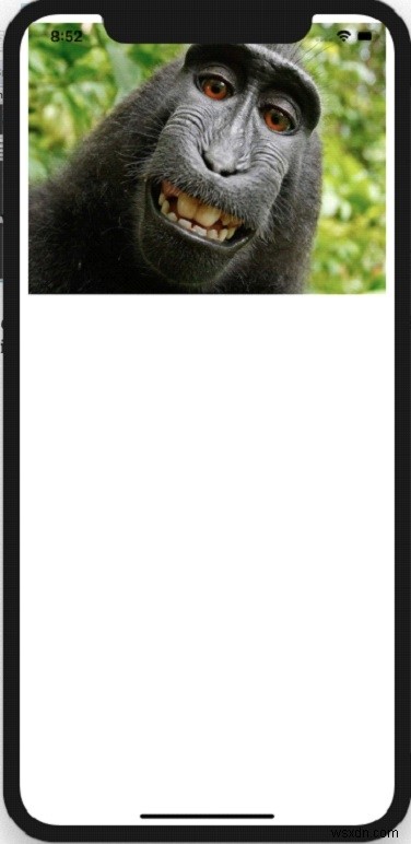 SwiftでUIImageViewのサイズを変更する方法をわかりやすく解説