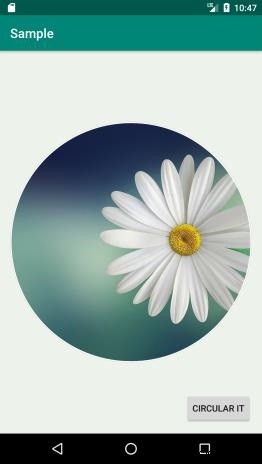 Androidでビットマップ画像から円形領域を切り抜く方法を徹底解説