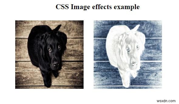 CSSを使って画像に視覚効果を追加する方法