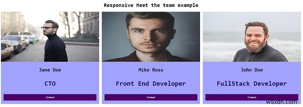 CSSで作るレスポンシブな「Meet The Team（チーム紹介）」ページの実装方法