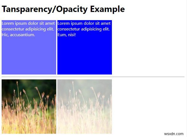 CSSで透明度を指定する方法|opacityプロパティの基本と使い方
