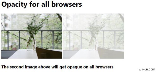 すべてのブラウザに対応するCSS不透明度（opacity）の設定方法
