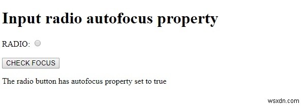 HTML DOM Input Radio の autofocus プロパティとは?使い方を解説