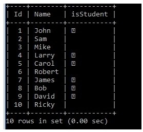 MySQLエラー1406「Data too long for column」の原因と解決法|BIT型カラムにはb 1 ・b 0 を使う
