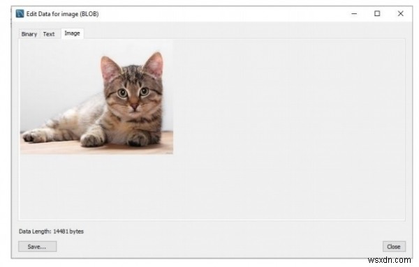JDBCでBLOBデータ型の値をテーブルに挿入する方法|サンプルコード付き