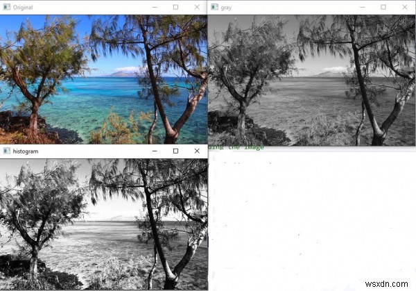 C++とOpenCVでヒストグラム平坦化を適用する方法