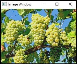 OpenCVでポインタを使った効率的な色数削減の実装方法