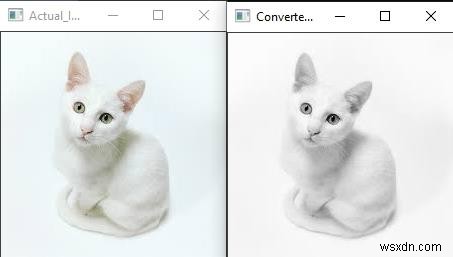 C++とOpenCVで色空間を変換する方法!cvtColor()関数の使い方を解説