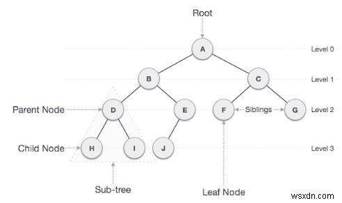 C++で二分木の非葉ノード(葉以外のノード)を数える方法