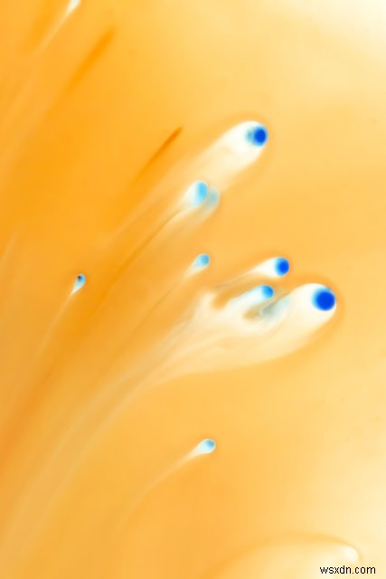 PHPのimagerotate()関数を使って画像を指定した角度で回転させる方法