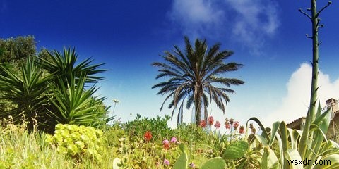 PHPのimagefilltoborder()関数で特定の色に塗りつぶす方法(GDライブラリ)
