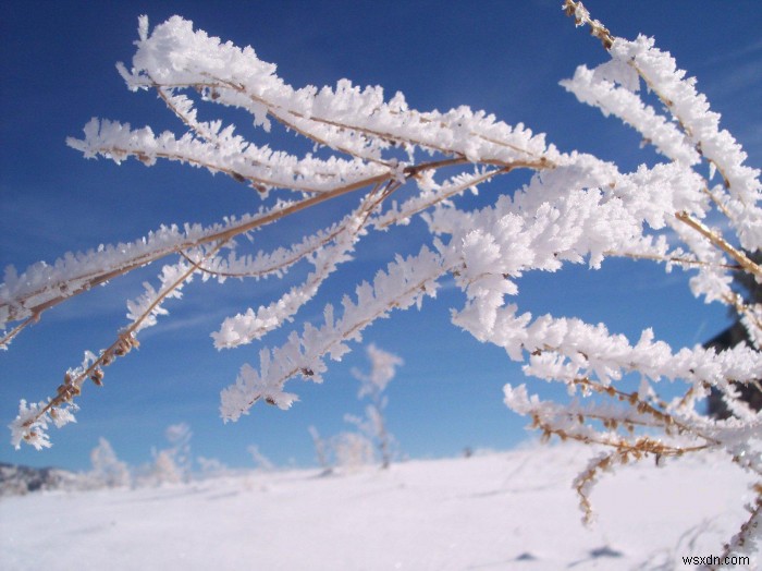 PHPのimagecreatefrompng()関数でPNGファイルやURLから新しい画像を作成する方法
