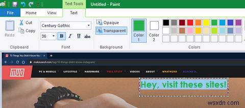MSペイントでスクリーンショットを編集・加工する方法|切り抜きからぼかし処理まで徹底解説