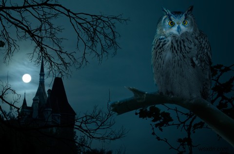 デスクトップとスタート画面を彩る、不気味で素敵なハロウィン壁紙10選