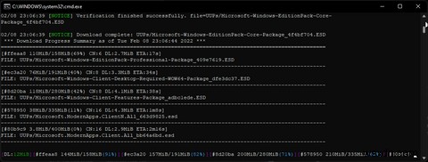 Windows Insiderプログラムに登録せずにWindows 11 Insider ISOをダウンロードする方法
