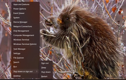 Windows 11で「高度なスタートアップオプション」を開く8つの方法【初心者向け完全ガイド】
