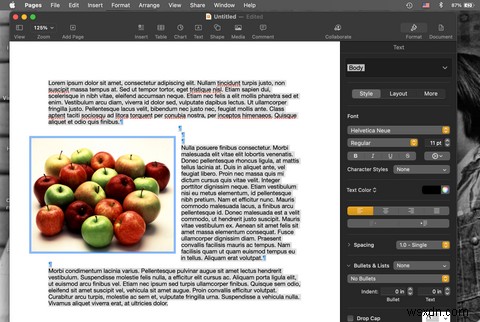 Macで「すべてを選択」する方法|ショートカット・メニュー・ドラッグ操作を徹底解説